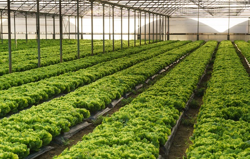 1652678841151864.jpg 812ab31a7fae8d48a91a2f04f747bad3_19155687_085913639186_2.jpg